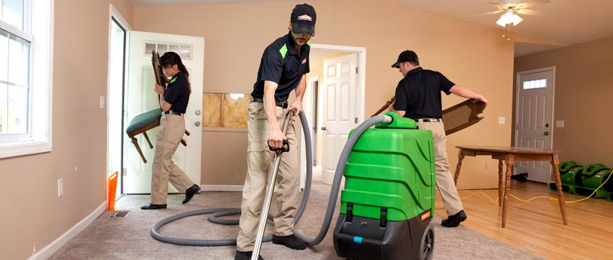 Elgin, IL cleaning services